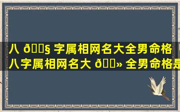 八 🐧 字属相网名大全男命格「八字属相网名大 🌻 全男命格是什么」